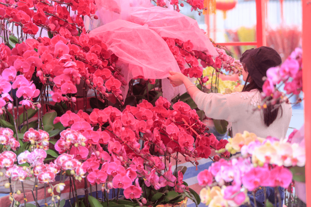 เศรษฐกิจดอกไม้สดในตลาดจีนเติบโตสูงทั้งในรูปแบบออนไลน์และออฟไลน์