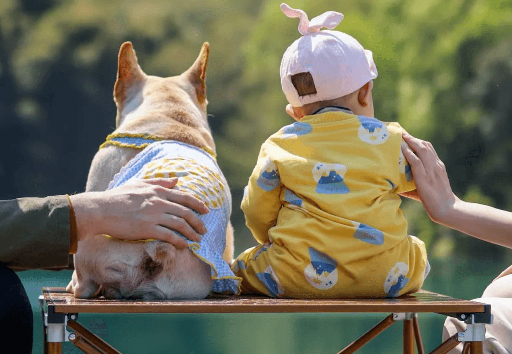 คาดตลาดธุรกิจสัตว์เลี้ยงในจีนแตะ 3.6 แสนล้านหยวนในปี 2569