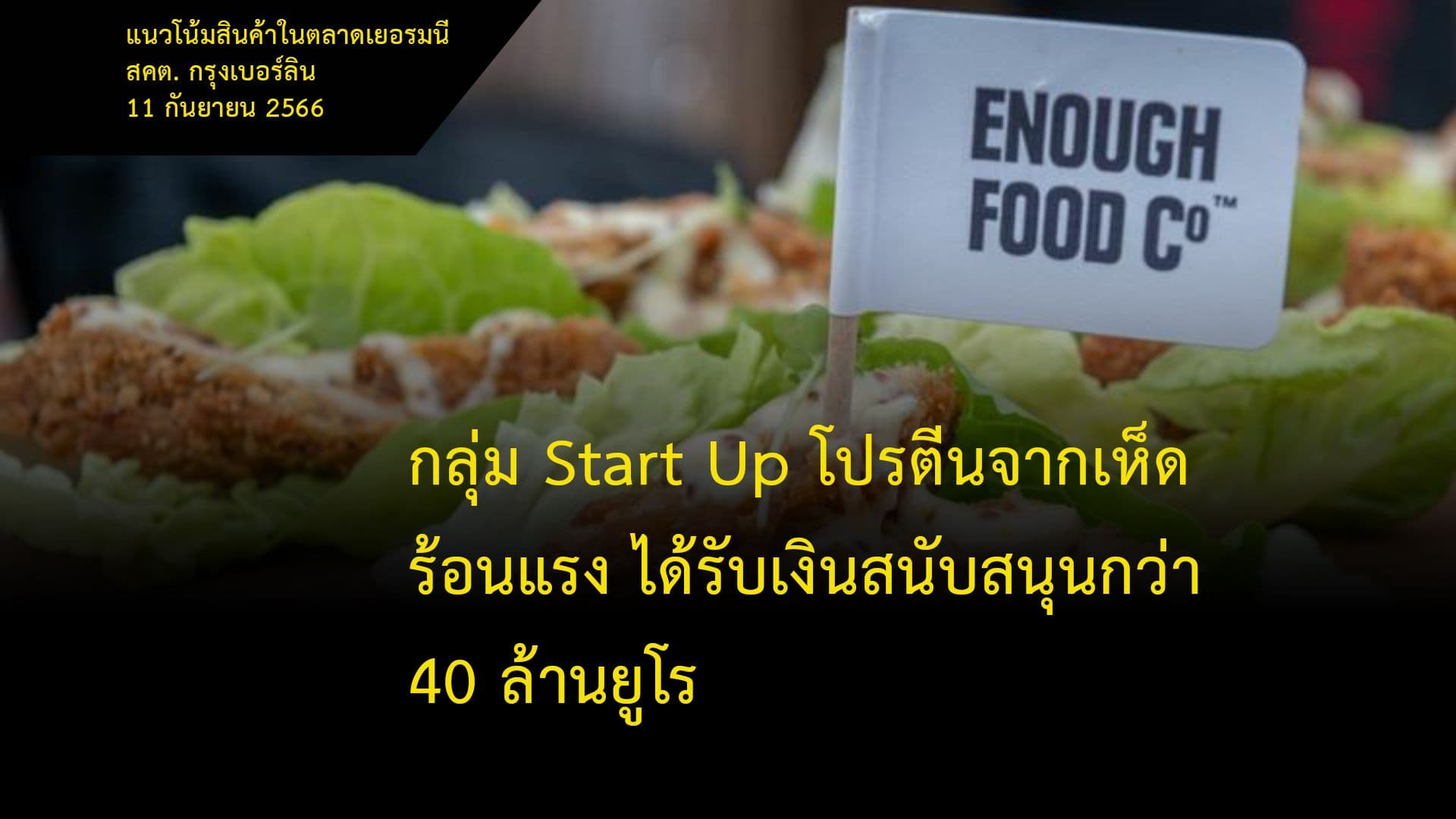 กลุ่ม Start Up โปรตีนจากเห็ดร้อนแรง ได้รับเงินสนับสนุนกว่า 40 ล้านยูโร