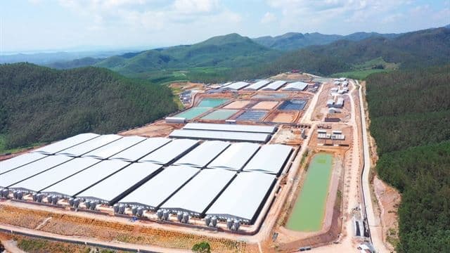บริษัท BAF Vietnam เดินหน้าขยายอุตสาหกรรมปศุสัตว์ ทุ่มเข้าซื้อกิจการ 11 แห่งใน 3 เดือนล่าสุด