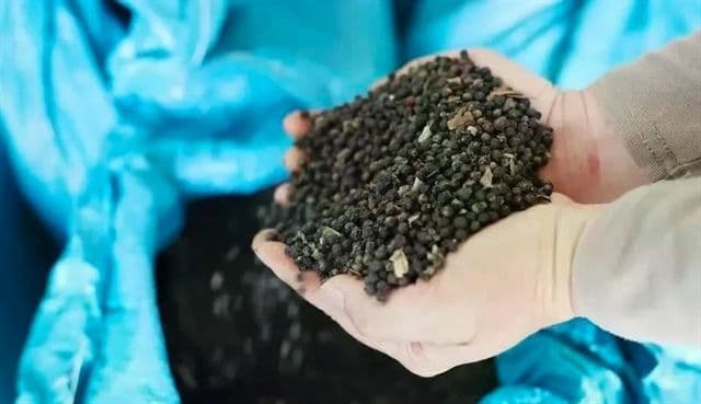 อุตสาหกรรมพริกไทยเวียดนามในปี 2568 โอกาสและความท้าทายท่ามกลางการลดลงของผลผลิตและการเปลี่ยนแปลงตลาดโลก