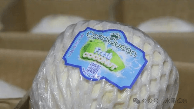 จีนนำเข้ามะพร้าวสดจากเวียดนามทางบกครั้งแรก เปิดโอกาสการค้าใหม่ในภูมิภาค