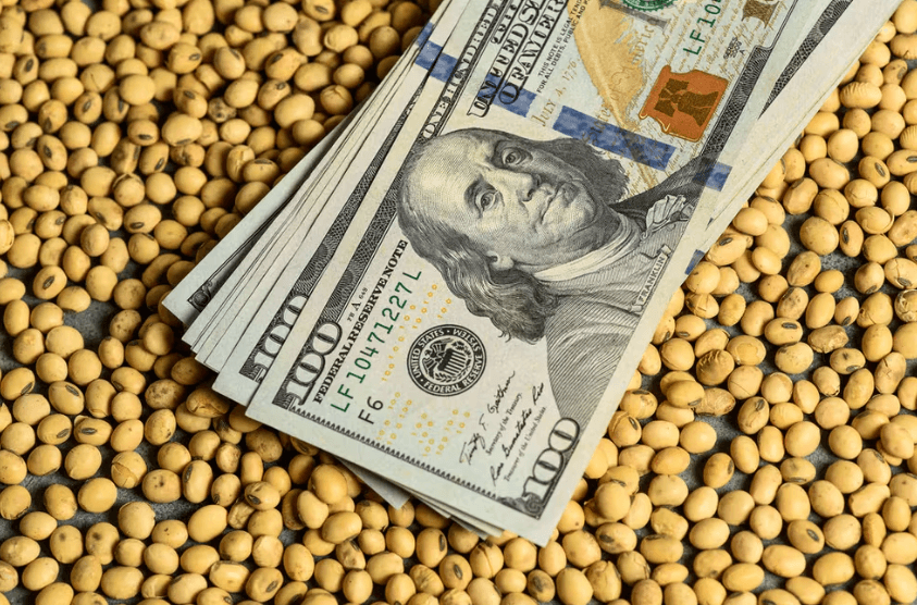 อาร์เจนตินากลับมาครองตลาดกากถั่วเหลืองของโลกอีกครั้ง