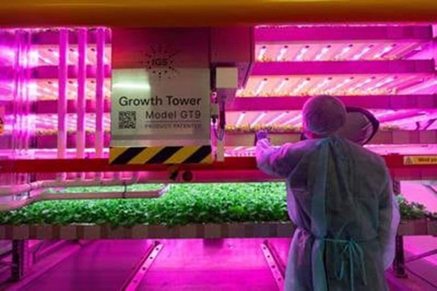FOOD TECH VALLEY ดูไบและ REFARM  ร่วมสร้างสมาร์ทฟาร์มสุดไฮเทคปลูกพืช