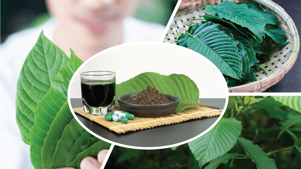 กระท่อมและองค์การอาหารและยาแห่งสหรัฐฯ