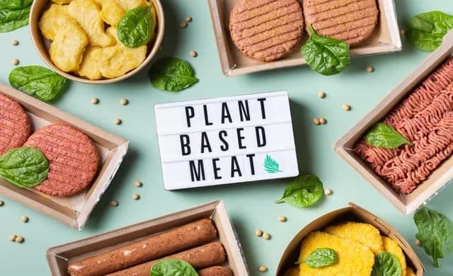 รายงานตลาดเชิงลึกสินค้า Plant Based Food ในสหราชอาณาจักร
