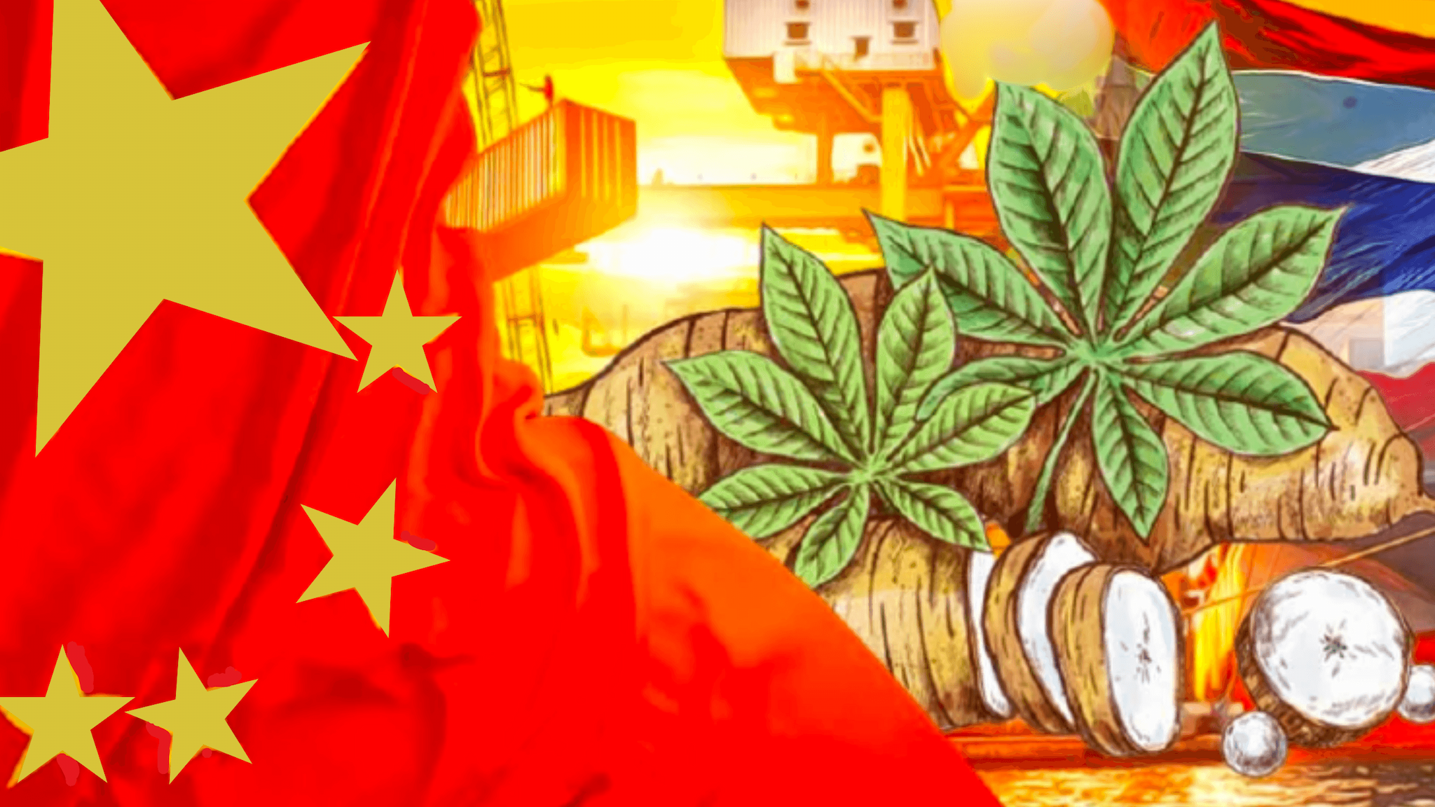 ตลาดมันสำปะหลังในจีน