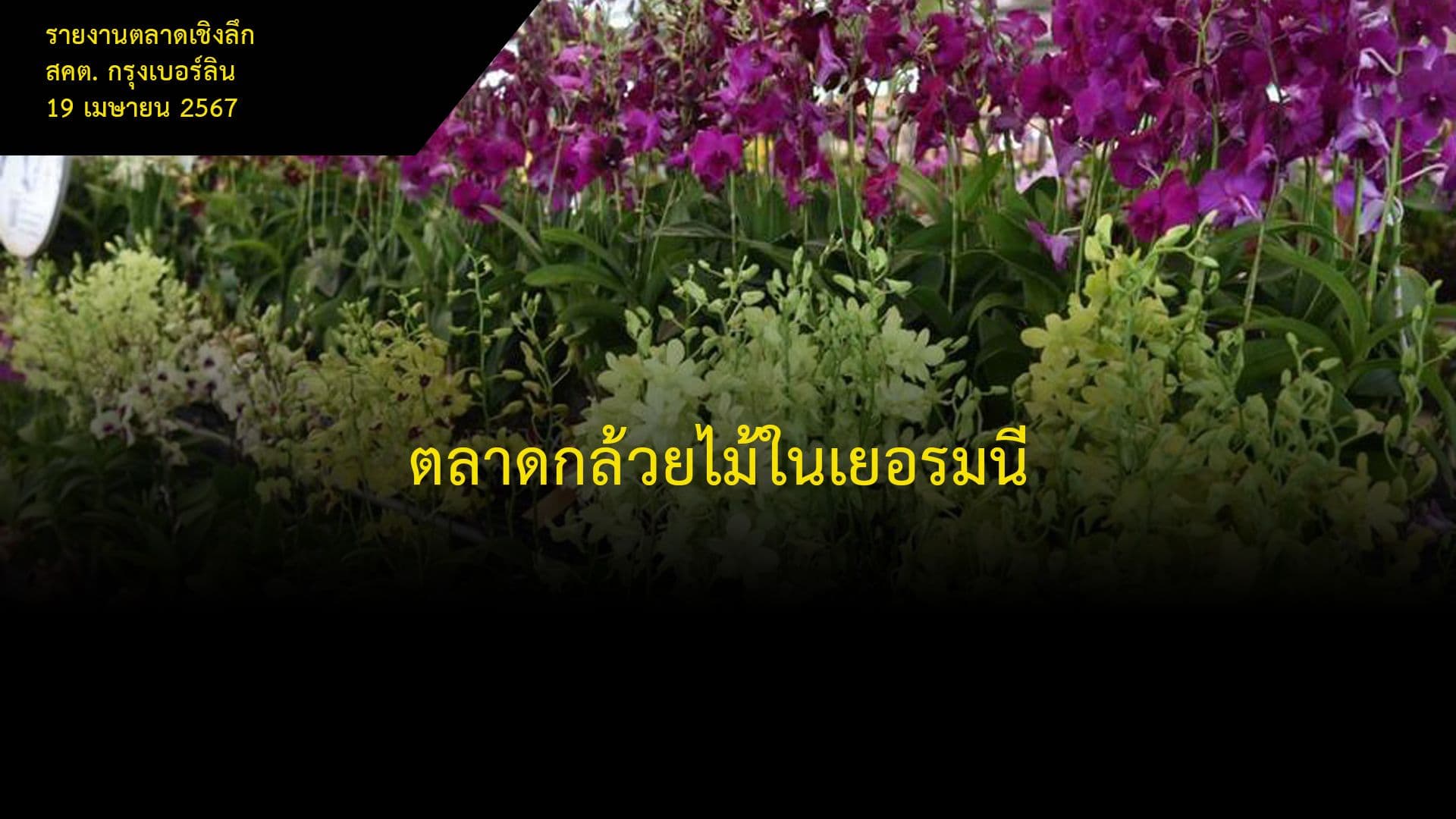 ตลาดกล้วยไม้ในเยอรมนี