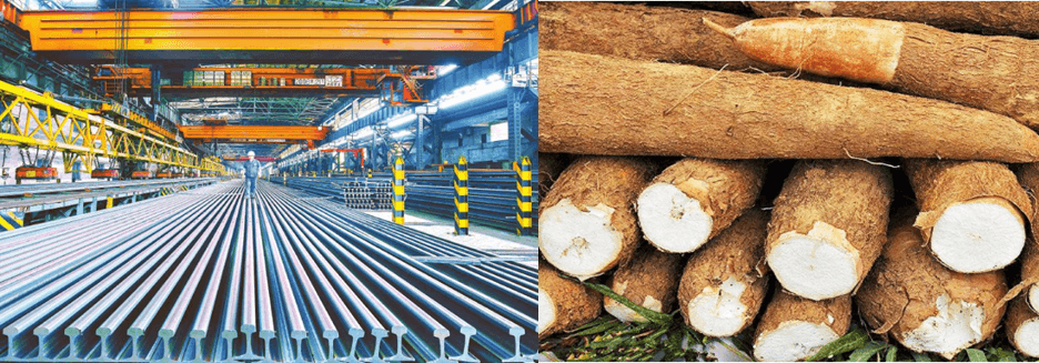 มันสำปะหลัง: วัตถุดิบสำคัญในอุตสาหกรรมเหล็กจีนตะวันตก