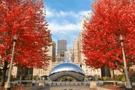 โควิด-19 ส่งผลต่อการเปลี่ยนแปลงพฤติกรรมการบริโภคของคนอเมริกัน