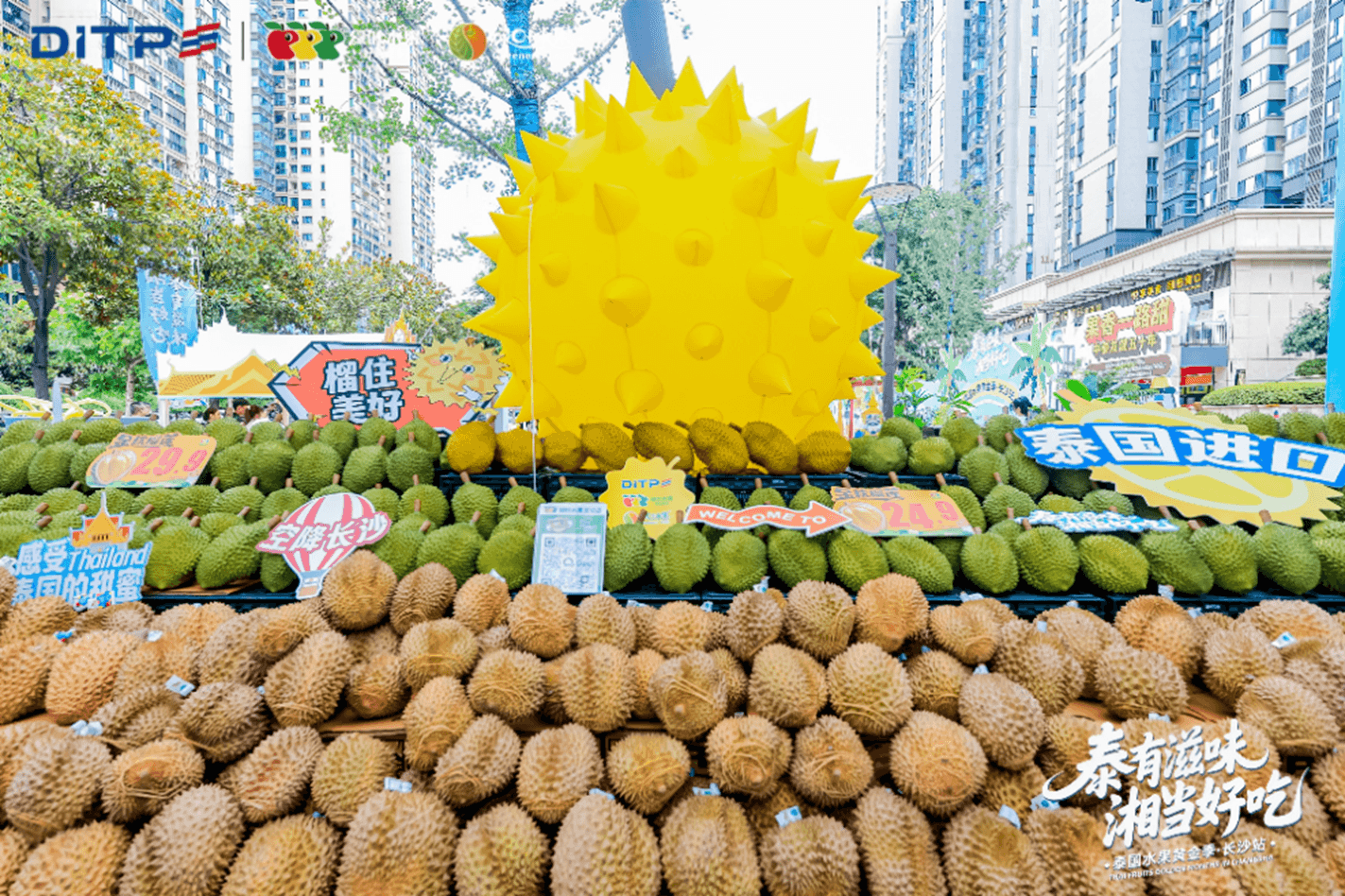 ราคาจำหน่ายทุเรียนในตลาดจีนมีการปรับตัว