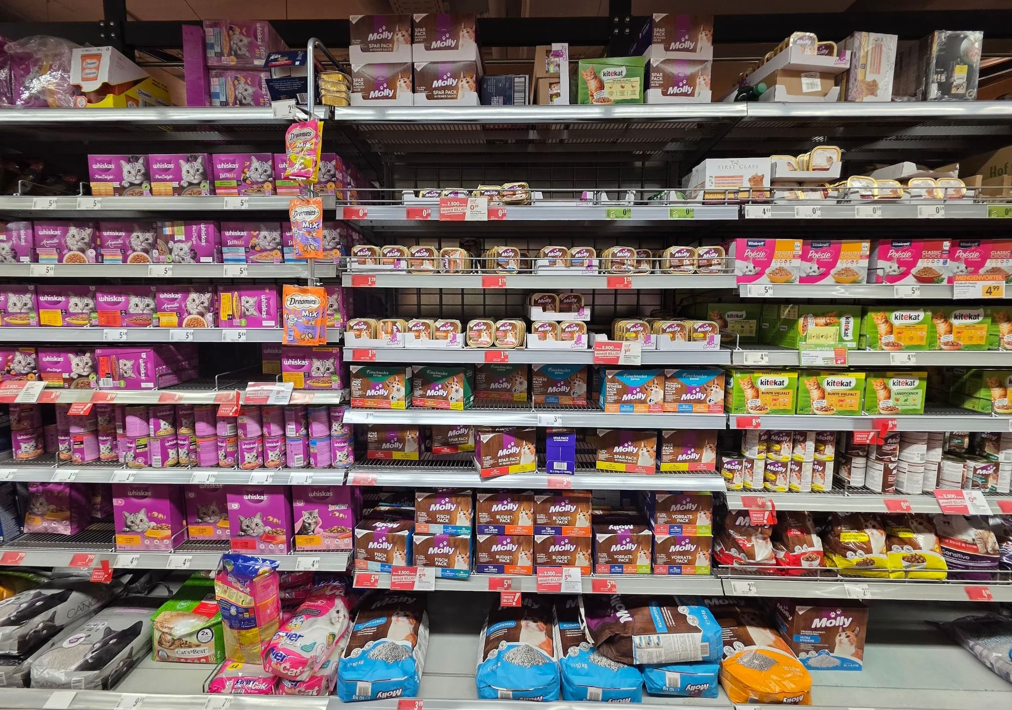 เทรนด์ "Fur Babies" ดันตลาดอาหารสัตว์เลี้ยงในออสเตรียพุ่ง สินค้าครองเชลล์ค้าปลีกหลัก เล็งเติบโตต่อเนื่องปี 2026