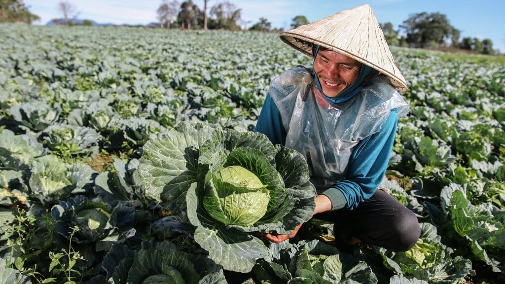 ADB อนุมัติเงินช่วยเหลือ 65.8 ล้านดอลลาร์สหรัฐ สนับสนุนการพัฒนาระบบเกษตร-อาหารของลาว