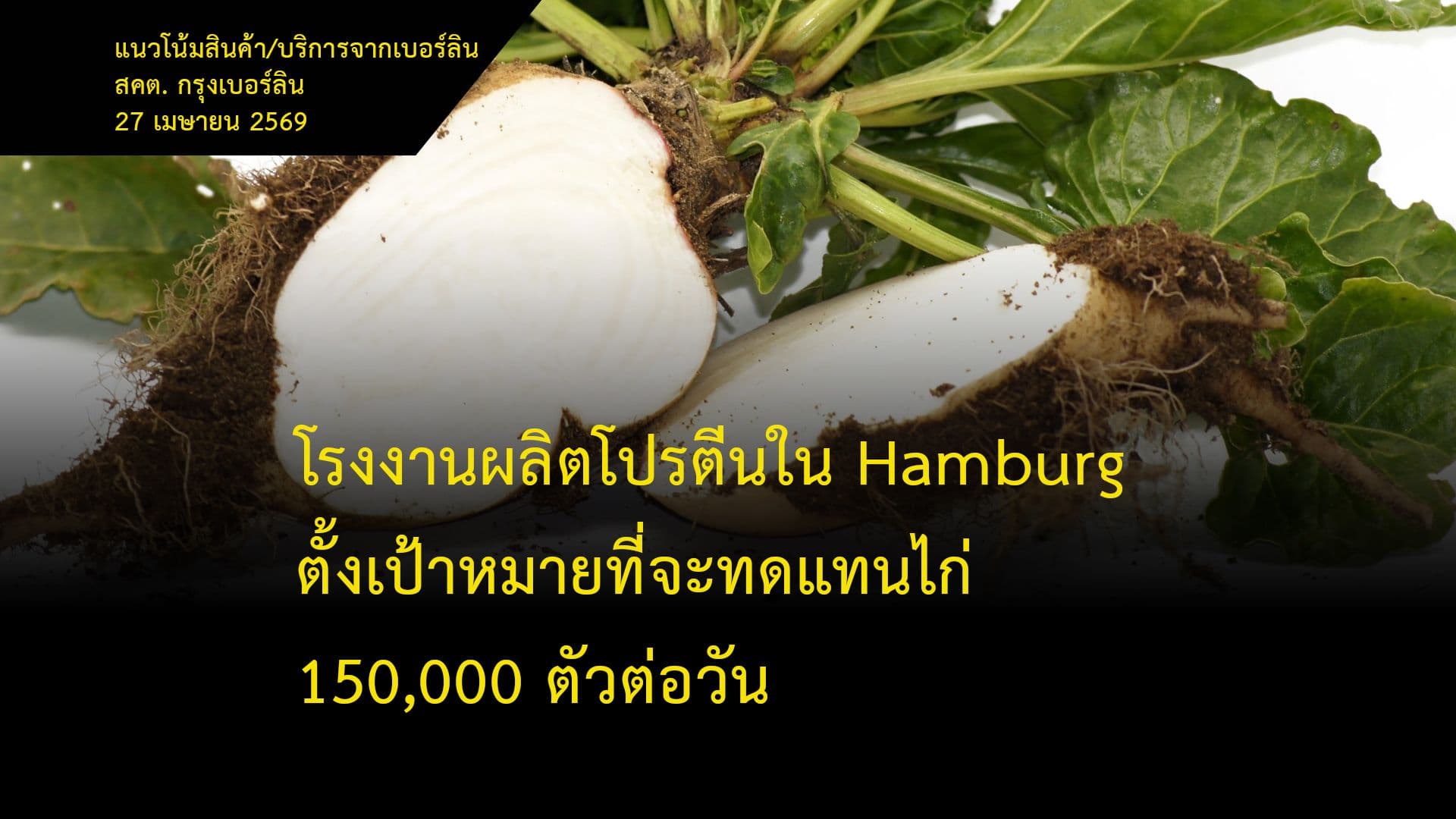 โรงงานผลิตโปรตีนใน Hamburg ตั้งเป้าหมายที่จะทดแทนไก่ 150,000 ตัวต่อวัน