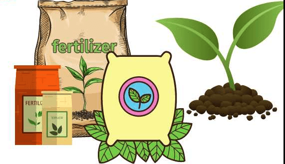 ปุ๋ยอินทรีย์ในตลาดเวียดนาม