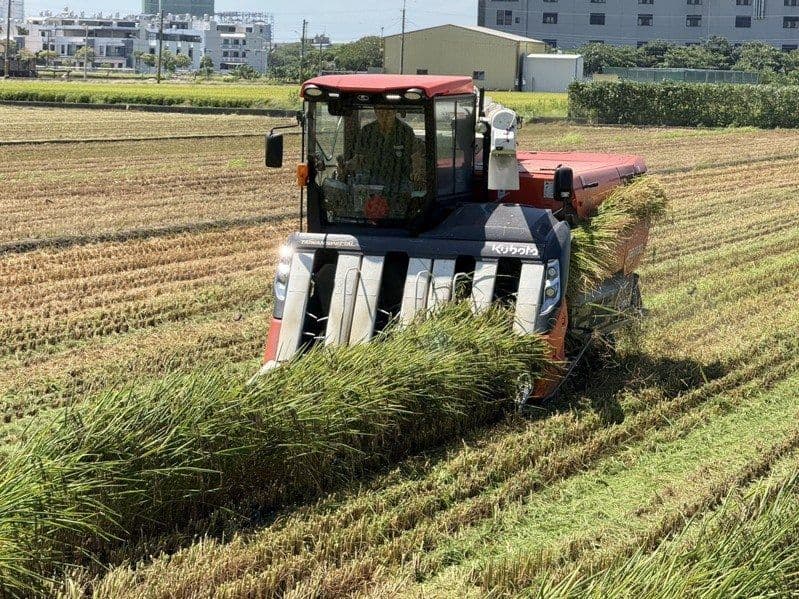 เกษตรกรไต้หวันผลิตข้าวหอม สร้างจุดเด่นสู้แนวโน้มการหดตัวของปริมาณการบริโภค