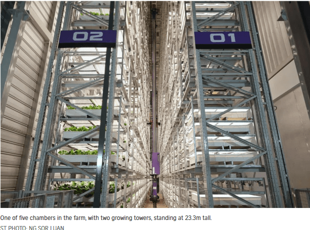 สิงคโปร์เปิดตัวฟาร์มแนวตั้งในอาคารที่สูงที่สุดในโลก ขับเคลื่อนด้วย AI และระบบอัตโนมัติ
