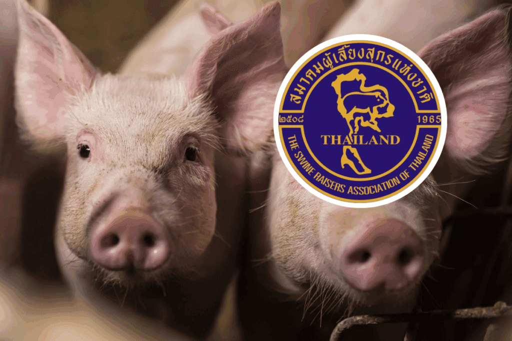 กรมปศุสัตว์ไทยเจรจามาเลเซีย ปลดล็อกนำเข้าเนื้อสุกรไทย  คาดดันมูลค่าส่งออกสูงถึง 4,000 ล้านบาท ในปี 2569