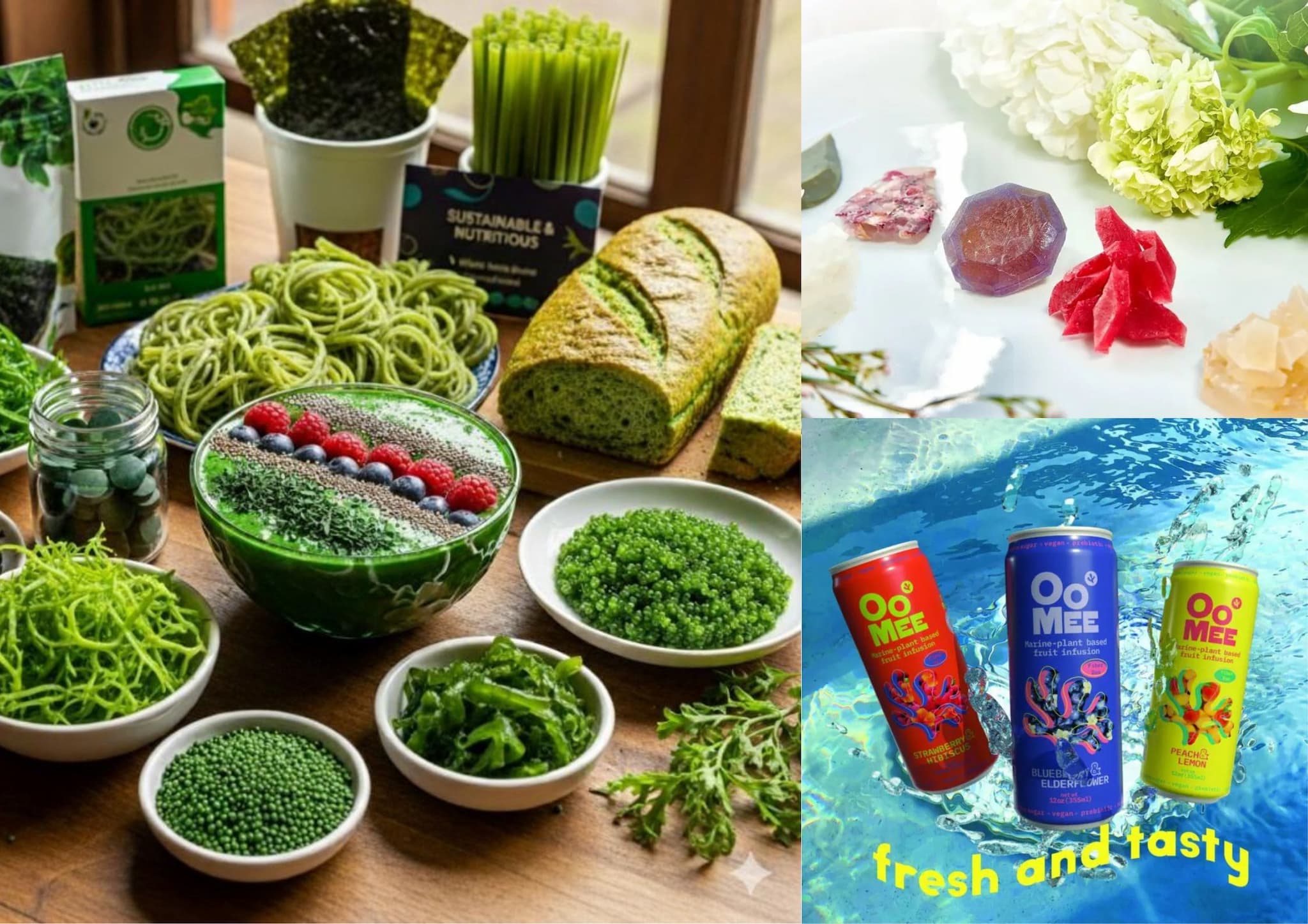 สาหร่าย : เทรนด์อาหารสุขภาพ