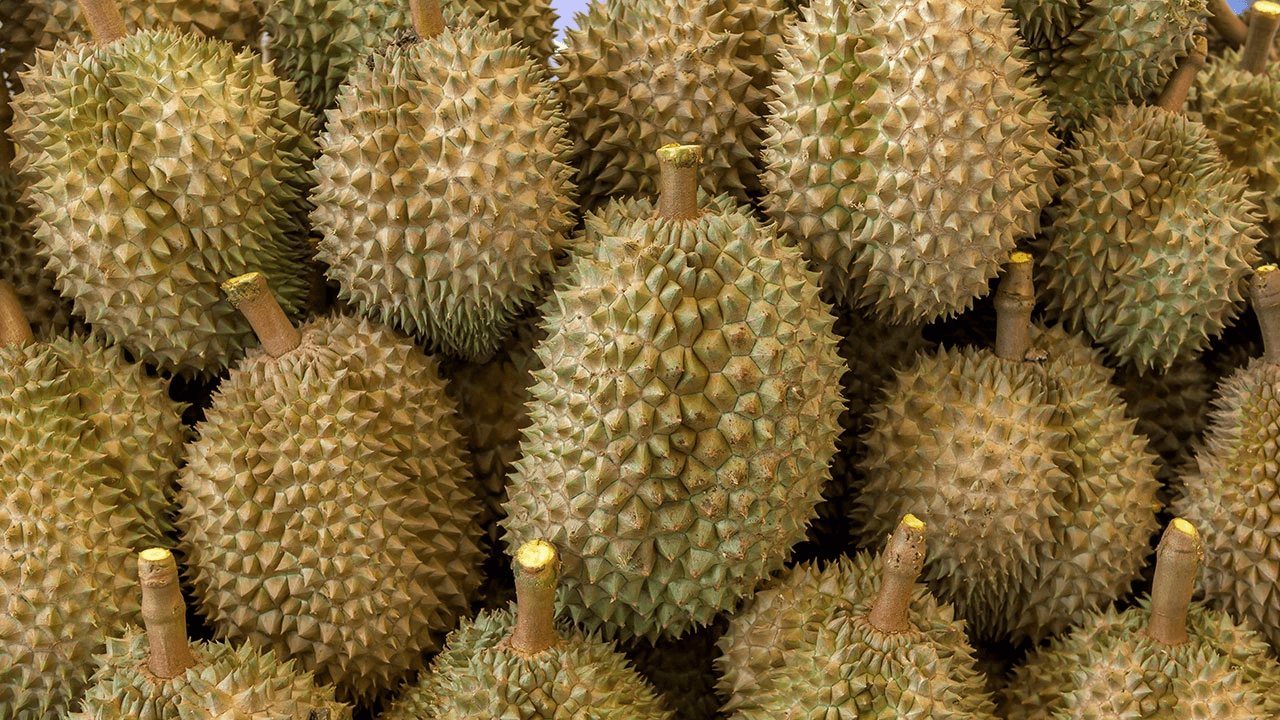 จีนอนุญาตให้นำเข้าทุเรียนสดจาก สปป.ลาวอย่างเป็นทางการ