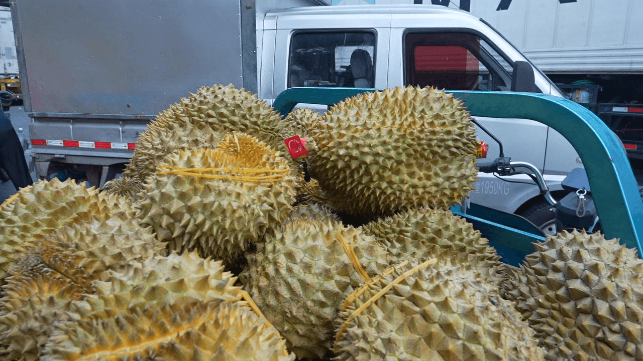 แพลตฟอร์มดิจิทัลเพื่อจัดสรรการขนส่งสินค้าในรูปแบบห่วงโซ่ความเย็นยกประสิทธิภาพการขนส่งทุเรียนสดในจีน