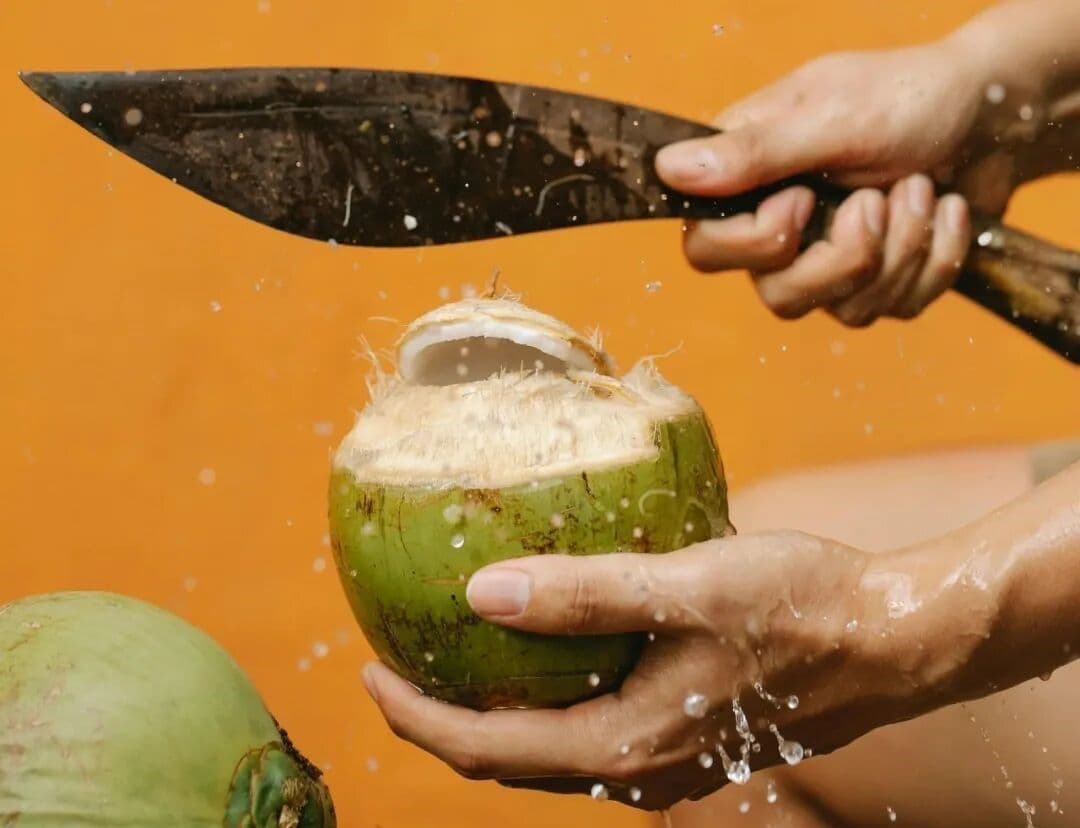 เบื้องหลัง “น้ำมะพร้าว 100%” ราคา 9.9 หยวน/ลิตร  สู่จุดเปลี่ยนอุตสาหกรรมเครื่องดื่มมาตรฐานใหม่ในจีน