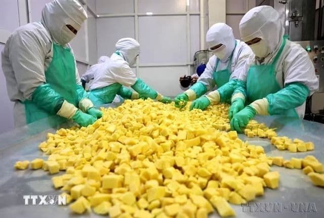 เวียดนามเร่งปรับภาคเกษตรรับกฎระเบียบ EU  มุ่งรักษาส่วนแบ่งตลาดและใช้ประโยชน์จาก EVFTA