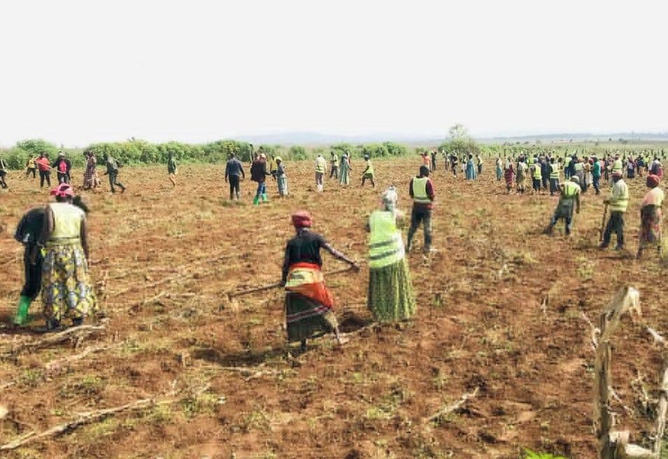 AfDB ปรับทัพทางการเงิน! เตรียมทุ่มงบเกษตรกรรมรวันดา 400 ล้านดอลลาร์  เปลี่ยนทิศหนุนภาคการผลิต เล็งลดเสี่ยงกระจุกตัวในโครงสร้างพื้นฐาน