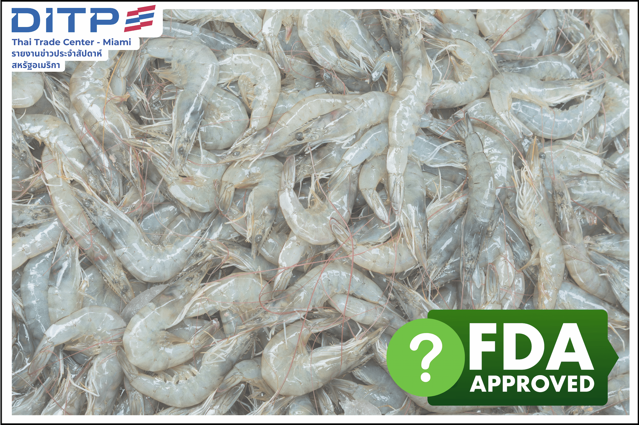 นโยบายใหม่ของ FDA สหรัฐฯเพ่งเล็งสินค้ากุ้งนำเข้าเป็นพิเศษ