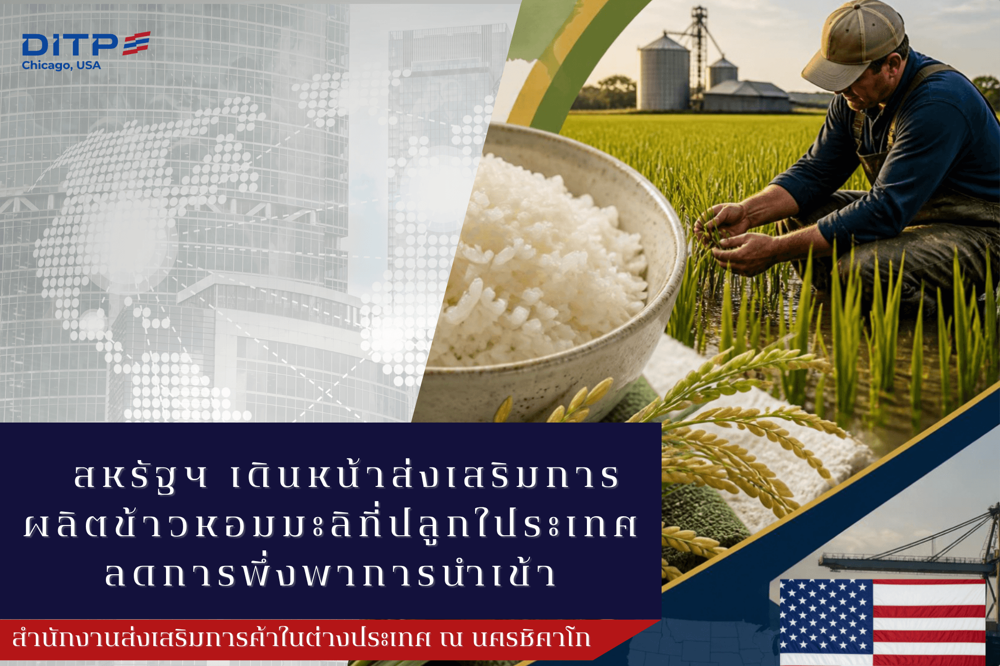 สหรัฐฯ เดินหน้าส่งเสริมการผลิตข้าวหอมมะลิที่ปลูกในประเทศ ลดการพึ่งพาการนำเข้า
