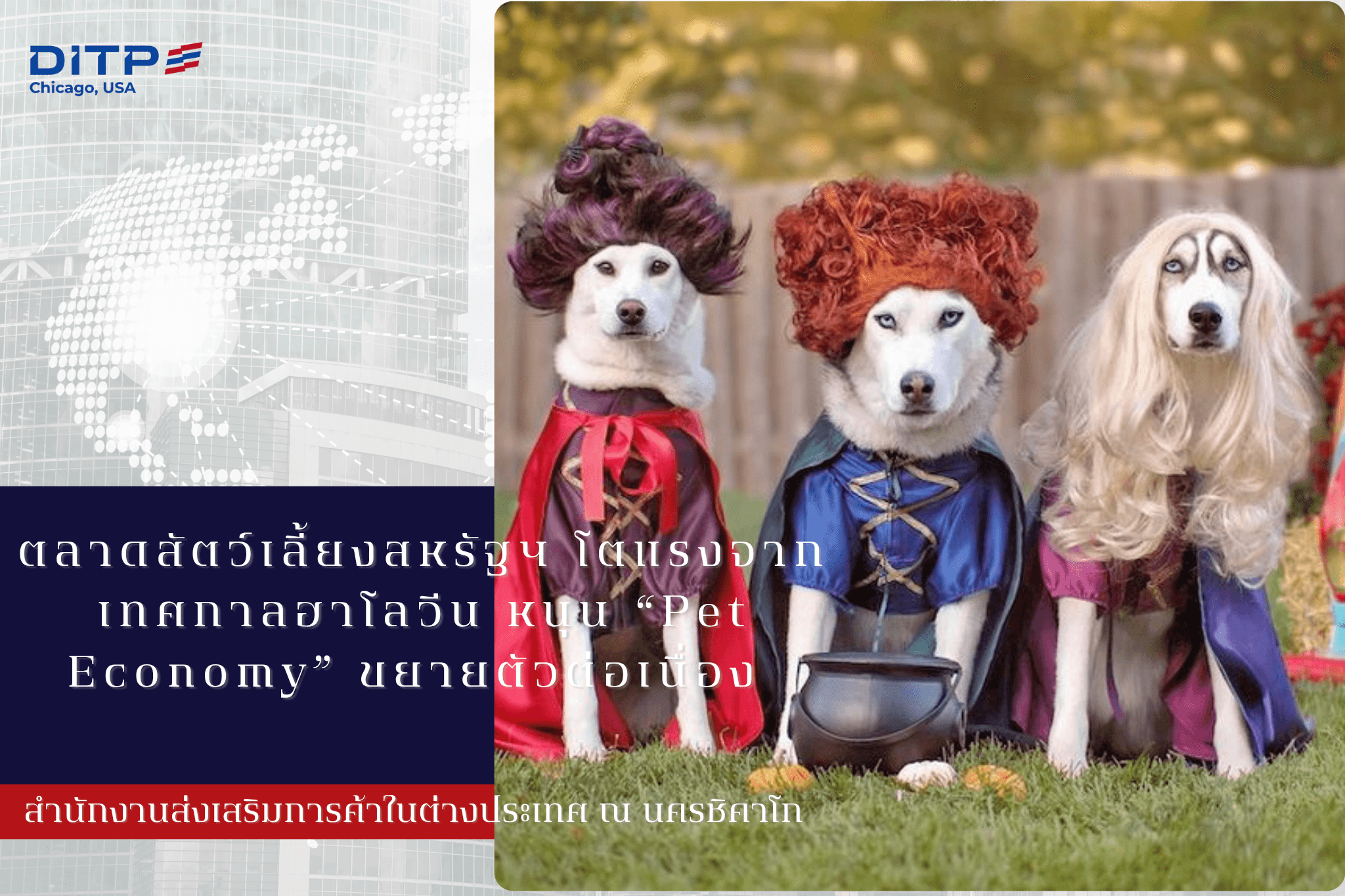 ตลาดสัตว์เลี้ยงสหรัฐฯ โตแรงจากเทศกาลฮาโลวีน หนุน “Pet Economy” ขยายตัวต่อเนื่อง