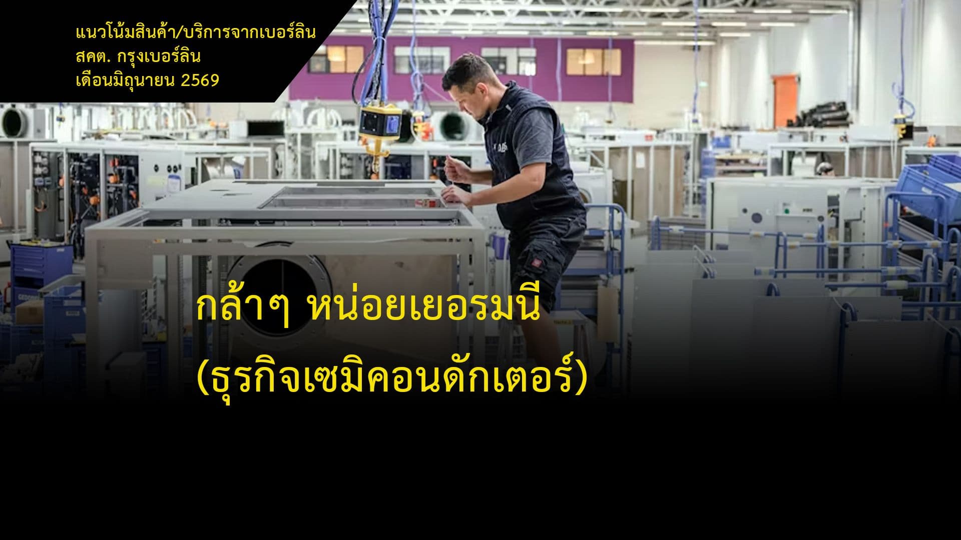 กล้าๆหน่อยเยอรมนี (ธุรกิจเซมิคอนดักเตอร์)