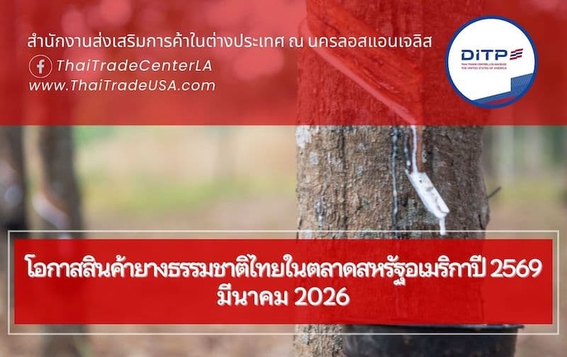 โอกาสสินค้ายางธรรมชาติไทยในตลาดสหรัฐอเมริกาปี 2569