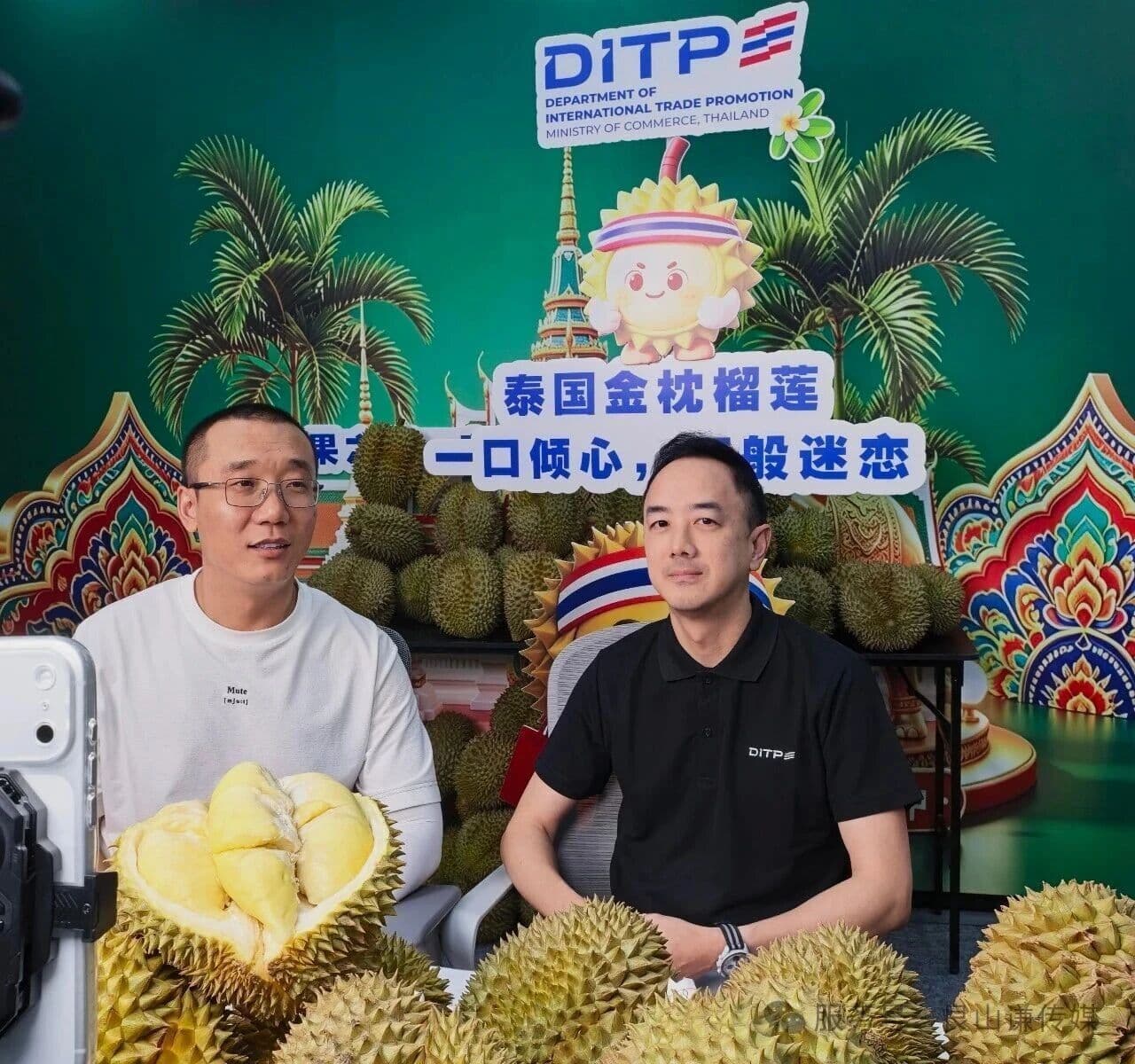 "ทุเรียนไทยฟีเวอร์! พาณิชย์หนุนไลฟ์สดขายจีนโกย 3.1 ล้านหยวนใน 1.5 ชั่วโมง”