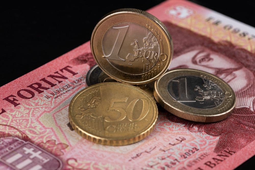 ตลาดการเงินฮังการีหลังการเลือกตั้งและโอกาสการใช้เงินยูโร