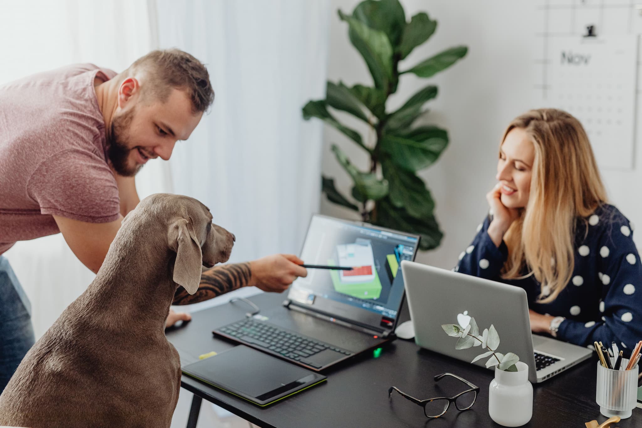 เทรนด์ Pet-Friendly Workplace ดันตลาดอาหารสัตว์ในยุโรปและฮังการียังเติบโตต่อ