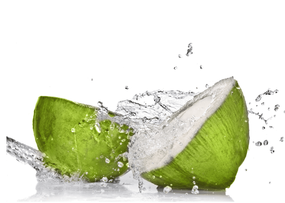 กระแสความตระหนักด้านคุณภาพในตลาดน้ำมะพร้าวจีน เอื้อต่อโอกาสของมะพร้าวไทยคุณภาพสูง