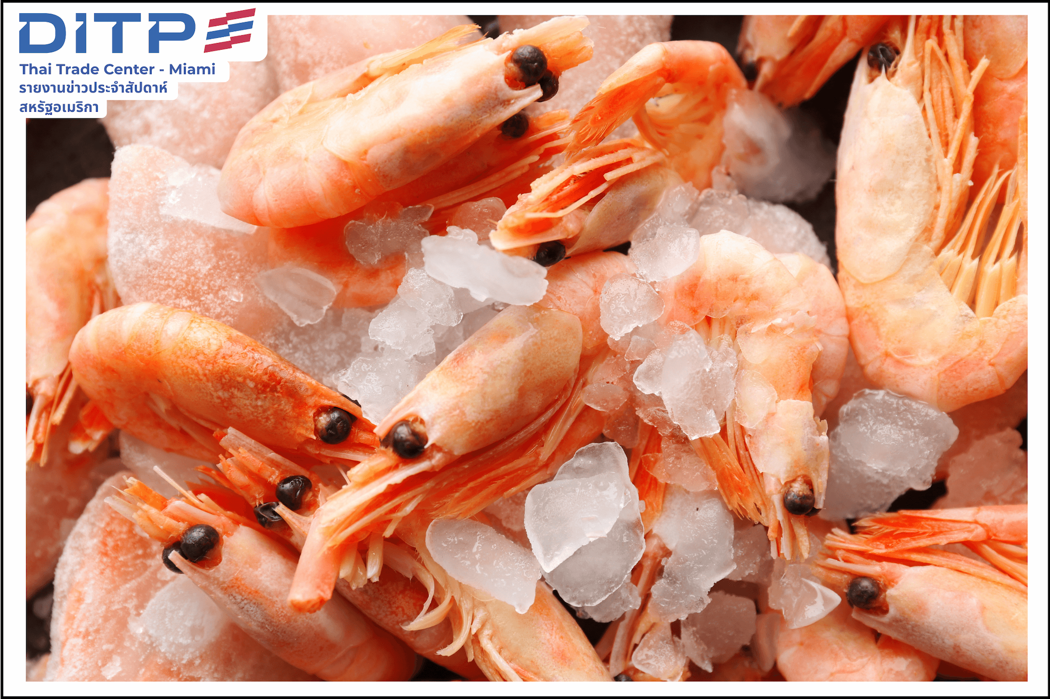 กรณีศึกษาอุตสาหกรรมกุ้งในสหรัฐฯ และท่าทีต่อภาษี “ทรัมป์”