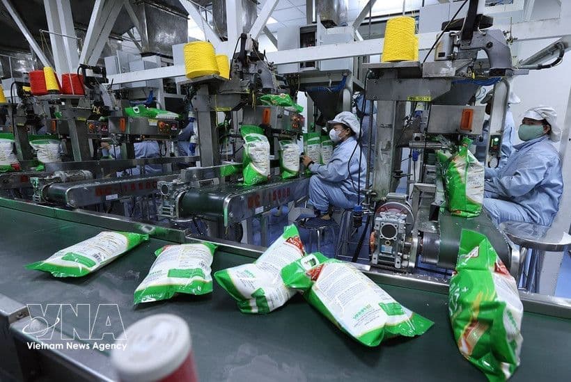 เวียดนามเร่งขยายตลาดข้าวให้มีความหลากหลายมากขึ้นผ่านข้อตกลงการค้าเสรี