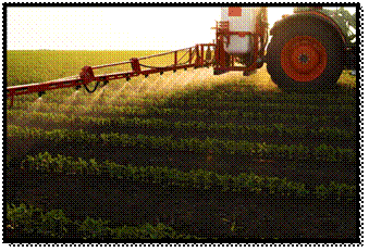 ร่างกฎหมาย Farm Bill ปี 2026 กับผลกระทบต่อโครงการ SNAP การเข้าถึงอาหาร และระดับราคาสินค้าอาหารในสหรัฐอเมริกา
