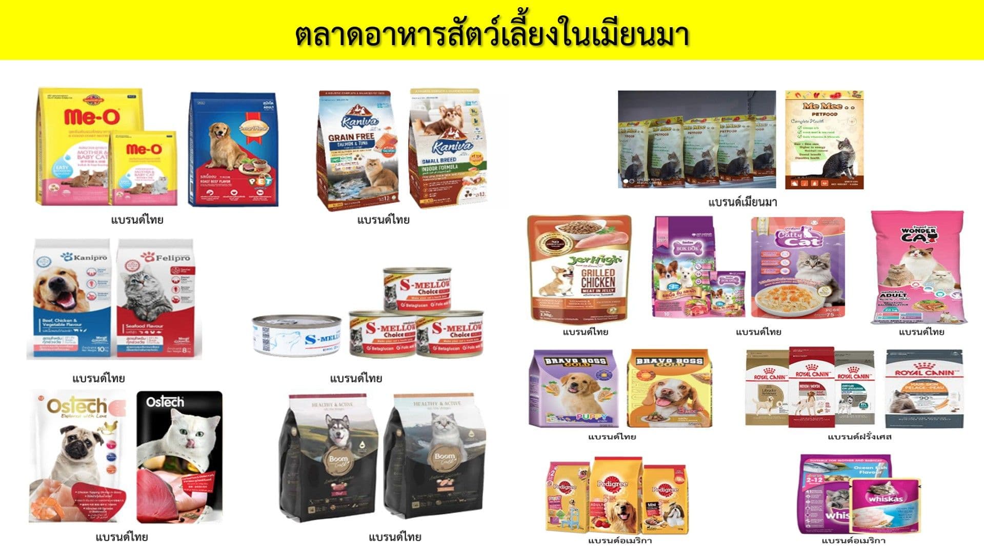 รายงานตลาดอาหารสัตว์เลี้ยงในเมียนมา