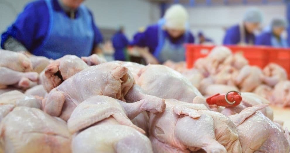 ภาวะสงครามส่อแววกระทบตลาดอาหารโปแลนด์