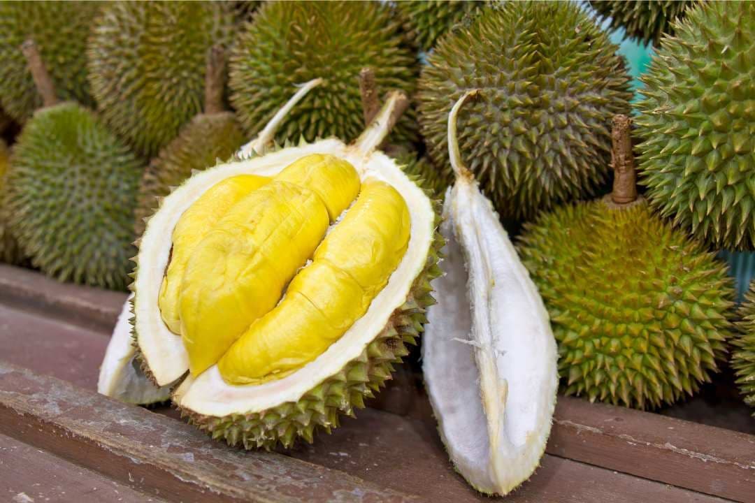 เวียดนามออกกฎใหม่ควบคุมคุณภาพทุเรียนส่งออกทุกขั้นตอน