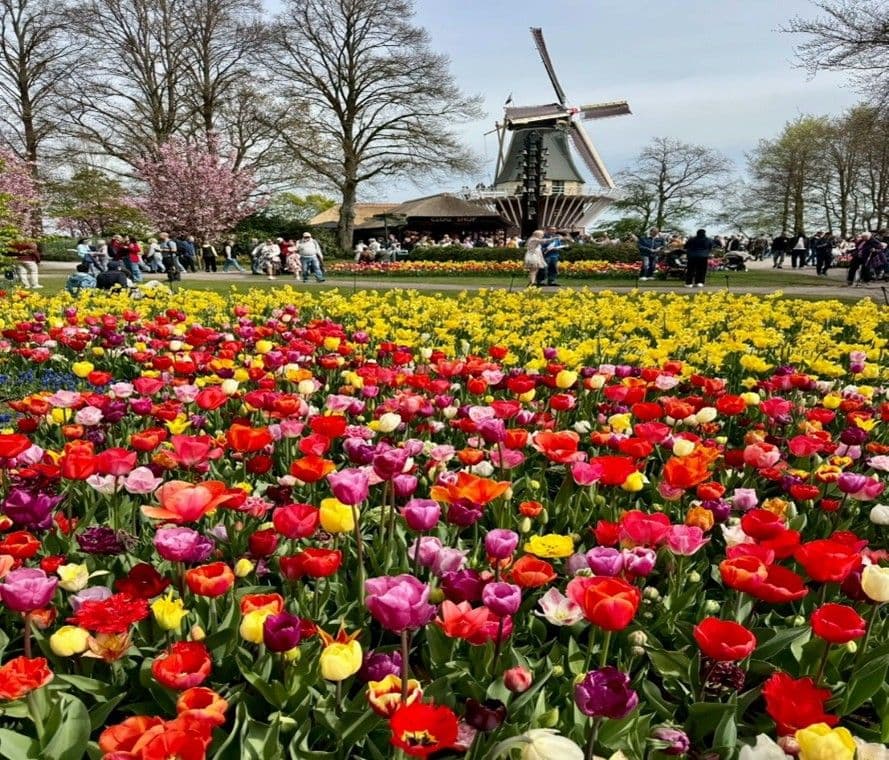 อาหาร–ท่องเที่ยว–ประสบการณ์ สะท้อนพฤติกรรมใช้จ่ายคนดัตช์