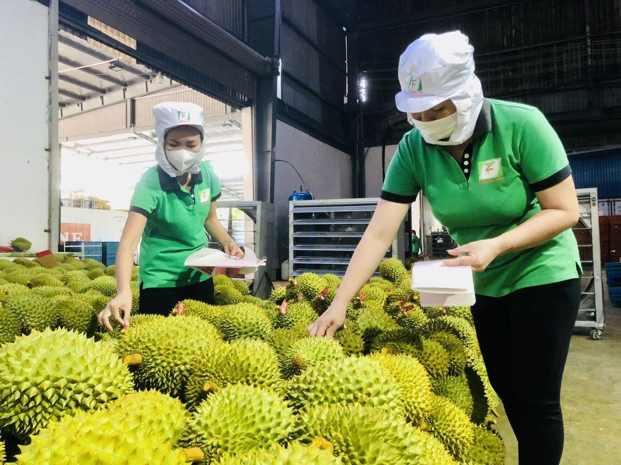 นายกรัฐมนตรีเวียดนามสั่งเร่งรัดส่งออกทุเรียนช่วงพีค