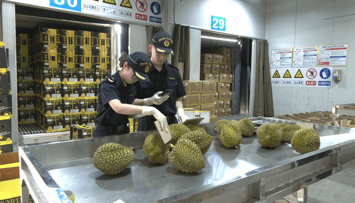 ทุเรียนไทยในตลาดจีนยุคใหม่: เมื่อคุณภาพและระบบตรวจสอบย้อนกลับสำคัญไม่แพ้ความรวดเร็วในการขนส่ง