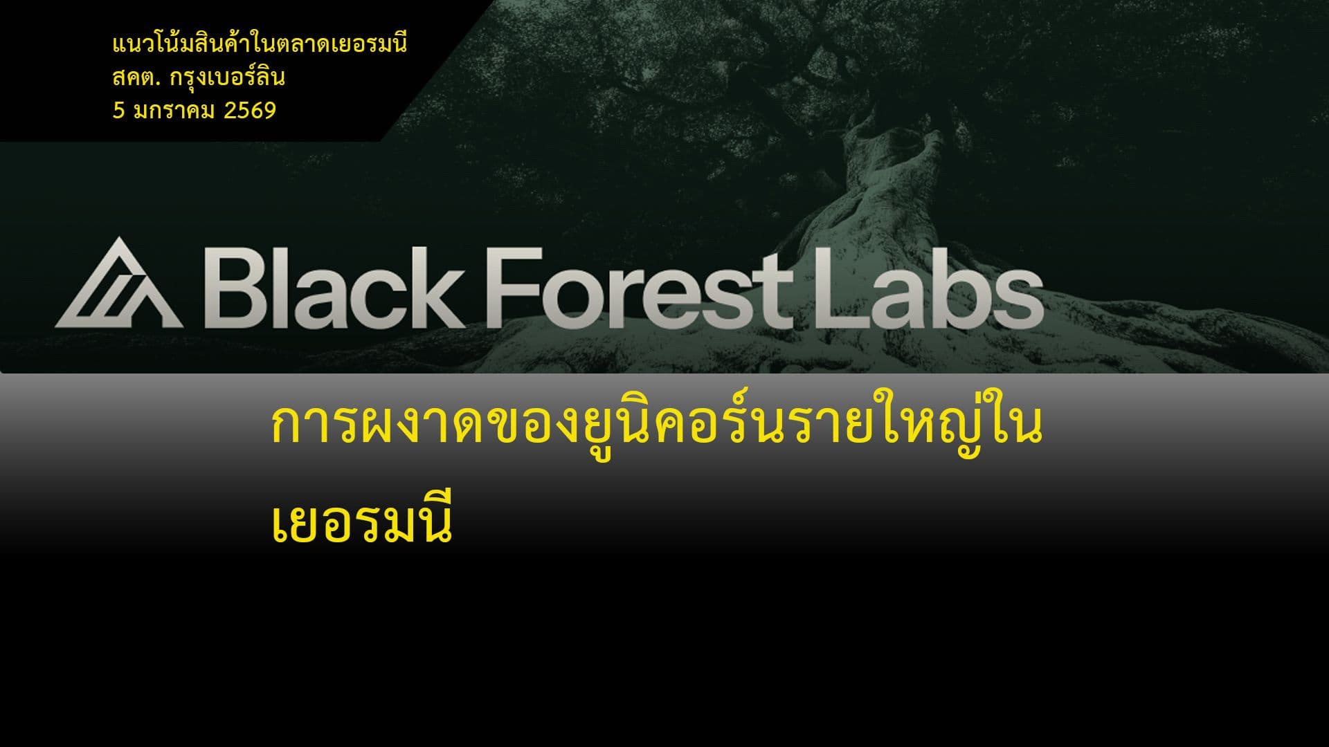 การผงาดของยูนิคอร์นรายใหญ่ในเยอรมนี