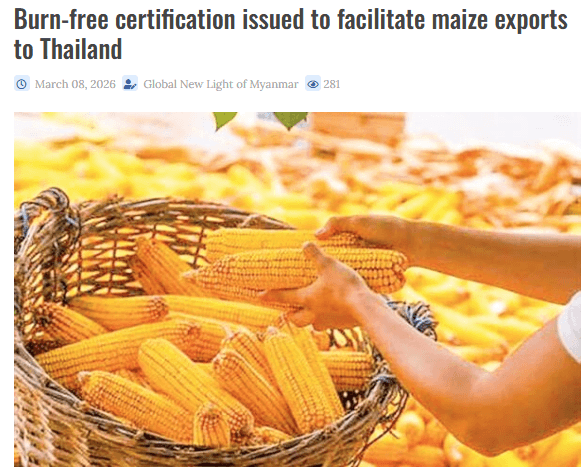 เมียนมาตั้งคณะทำงานร่วมภาครัฐและภาคเอกชน เรื่องใบรับรองข้าวโพดปลอดเผา สนับสนุนการส่งออกไปไทย