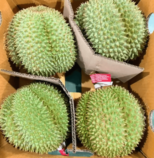 ทุเรียนไทย 33 ตัน ขนส่งตรงถึงเฉิงตู : ปฏิวัติโลจิสติกส์ผลไม้ไทยสู่จีนตะวันตก!!