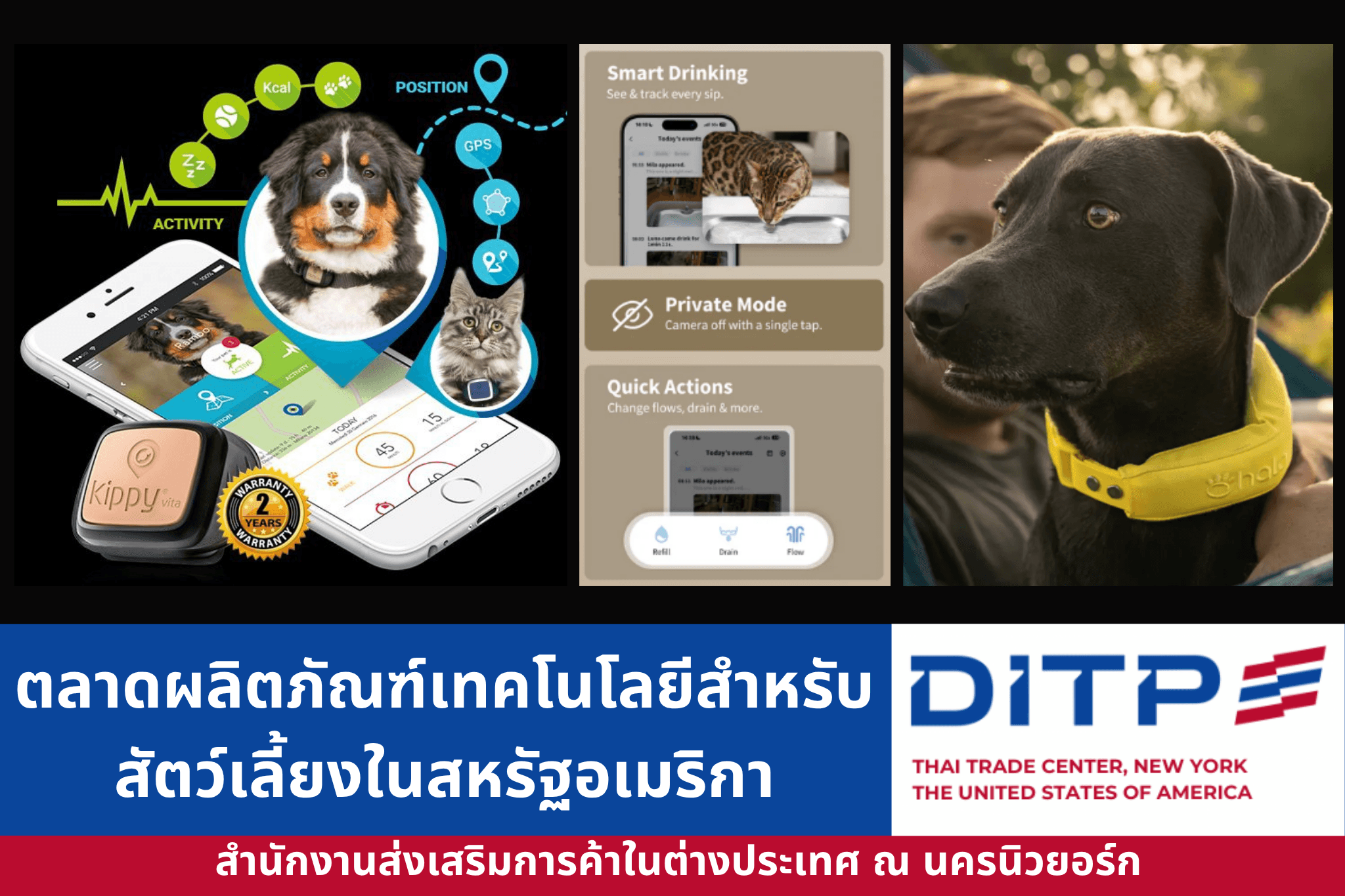 ตลาดผลิตภัณฑ์เทคโนโลยีสำหรับสัตว์เลี้ยงในสหรัฐอเมริกา